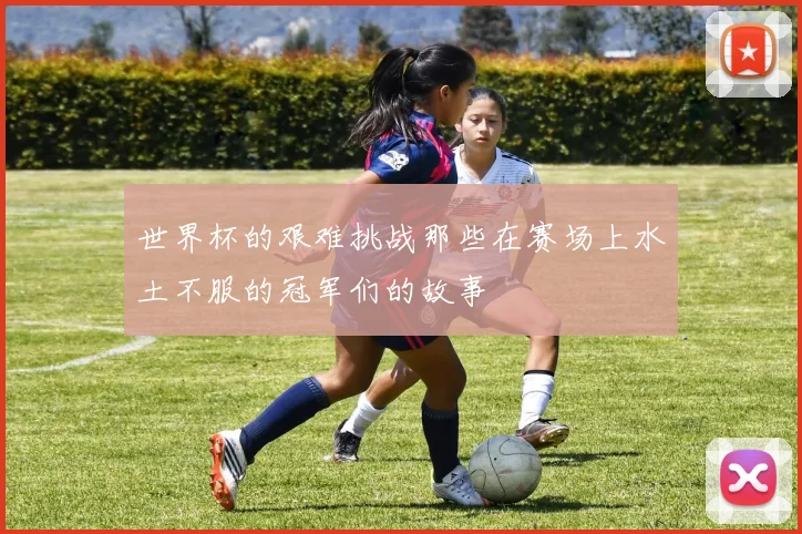 世界杯的艰难挑战那些在赛场上水土不服的冠军们的故事