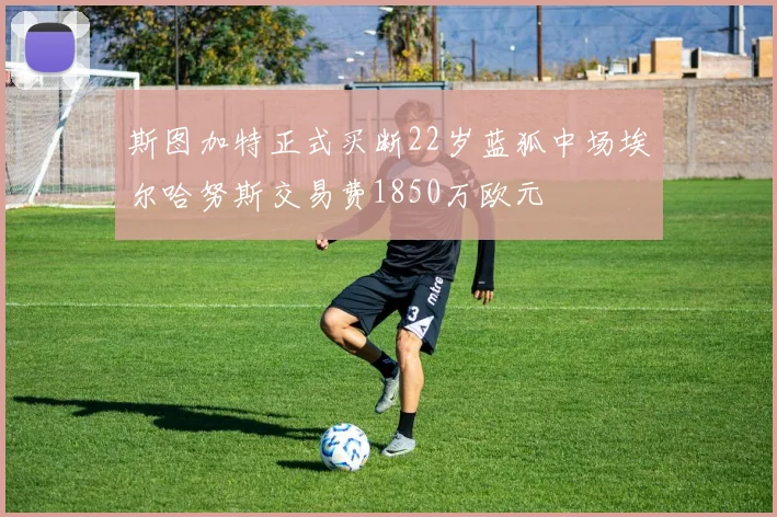 斯图加特正式买断22岁蓝狐中场埃尔哈努斯交易费1850万欧元