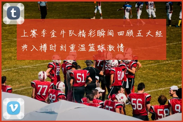 上赛季金牛队精彩瞬间回顾五大经典入樽时刻重温篮球激情